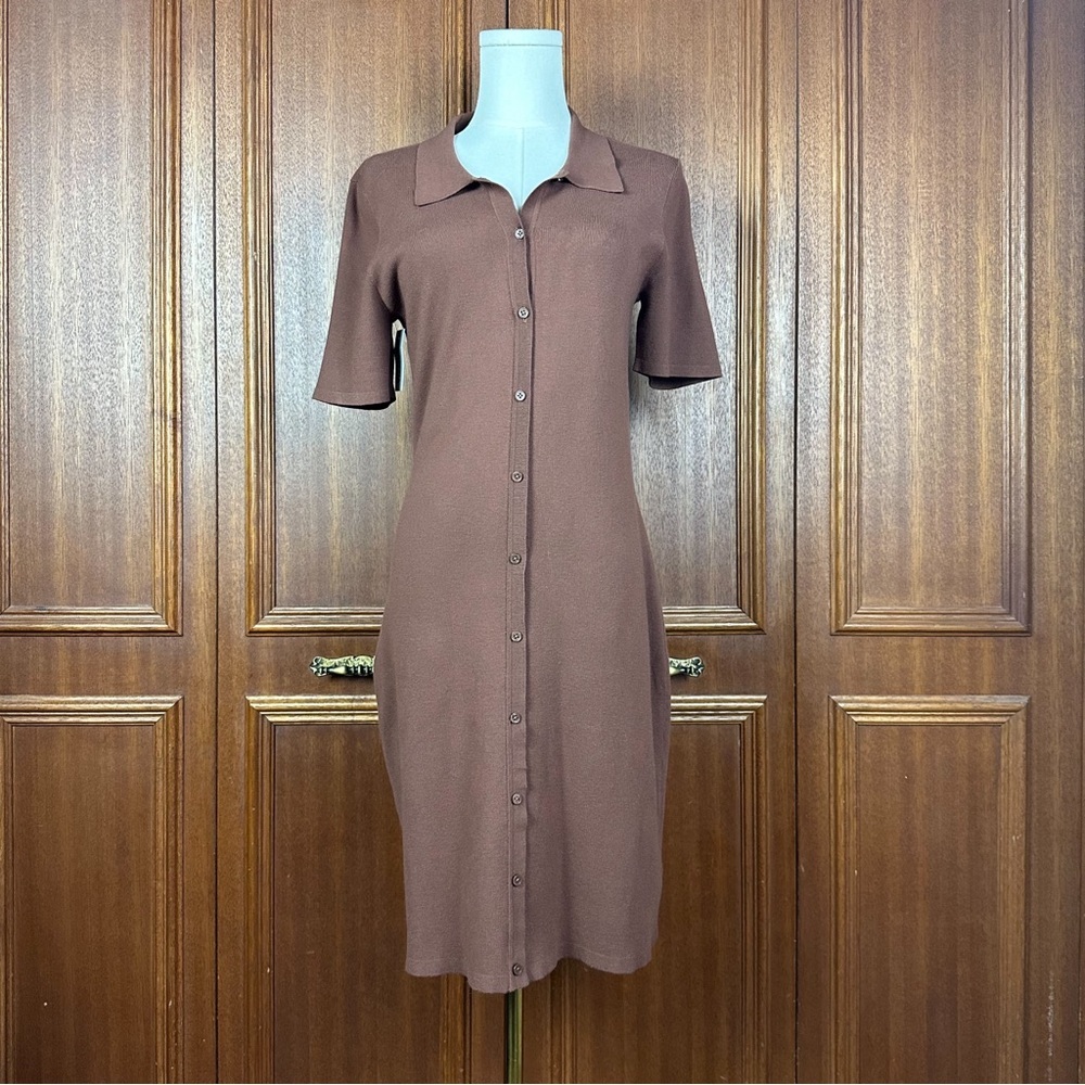 Aritzia Button-Up Dress